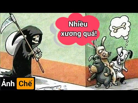 北京SEO服九游娱乐务商(组图)(图1)